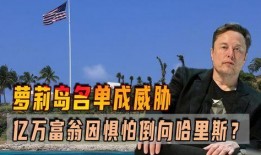 首富爆料视频,财富背后的故事与启示